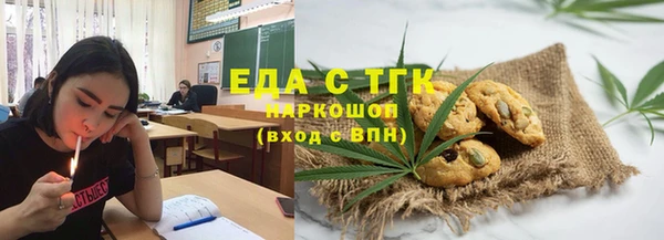 дмт Богданович