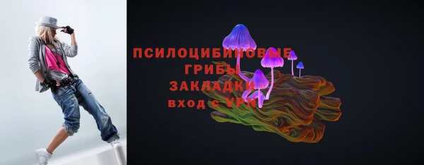 первитин Белокуриха
