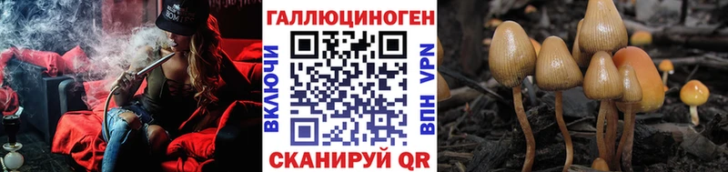 Псилоцибиновые грибы прущие грибы  сколько стоит  Онега 